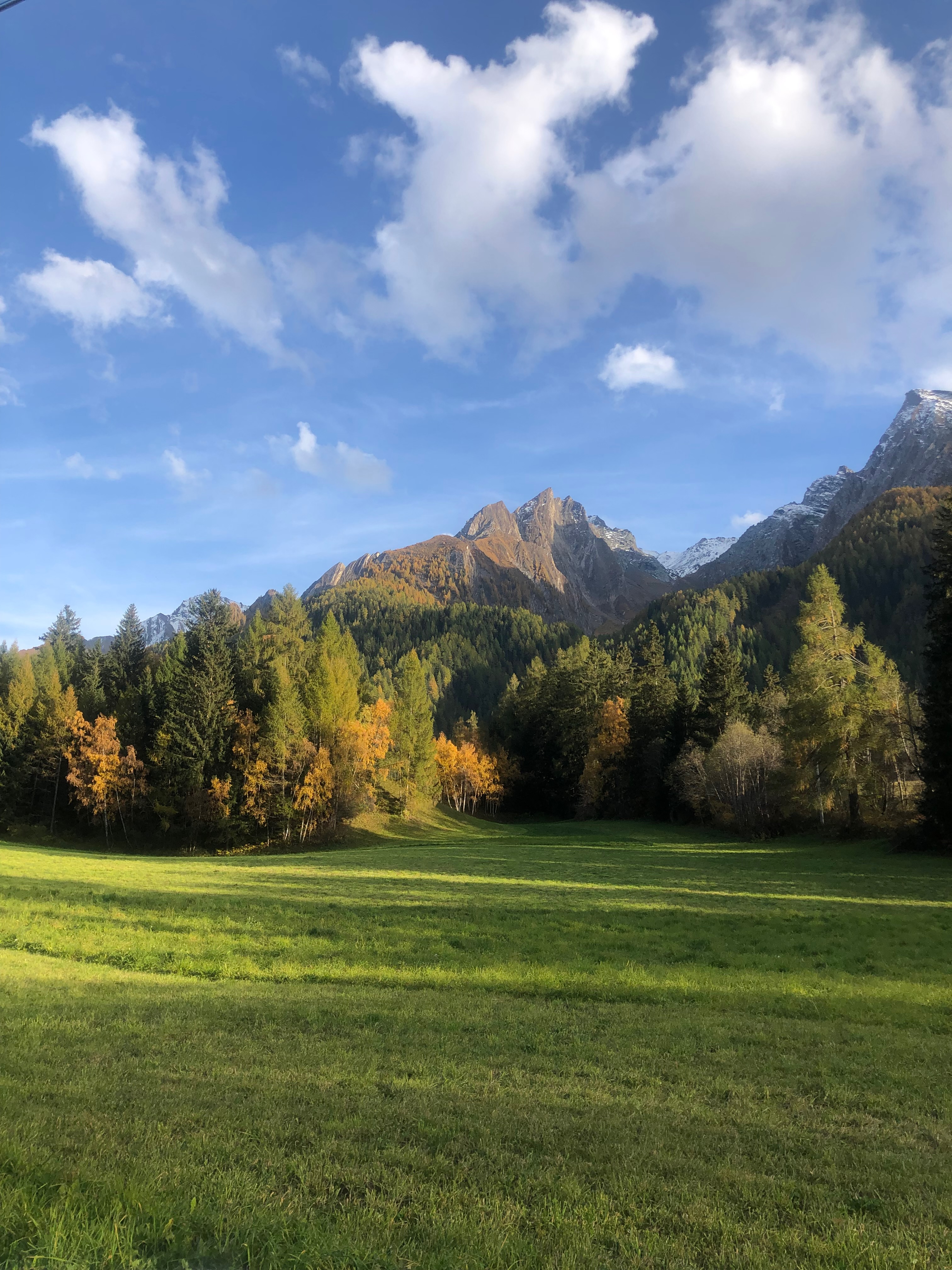 Entrare in un bosco richiede 5 punti da rispettare